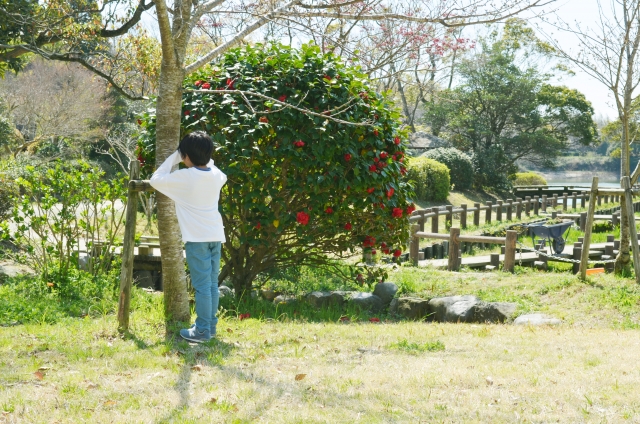だるまさんがころんだは療育になる？子どもの発達を伸ばす効果と理由